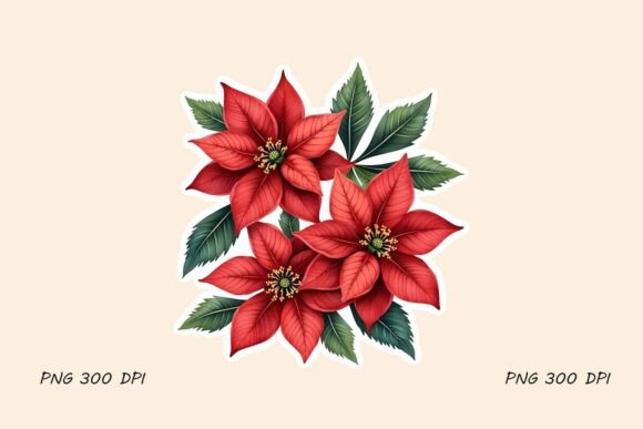 Poinsettia Flowers Sticker Christmas PNG Review
